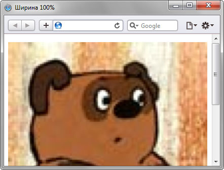 Изображение с шириной 100%