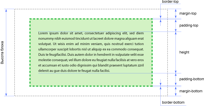 Высота блока